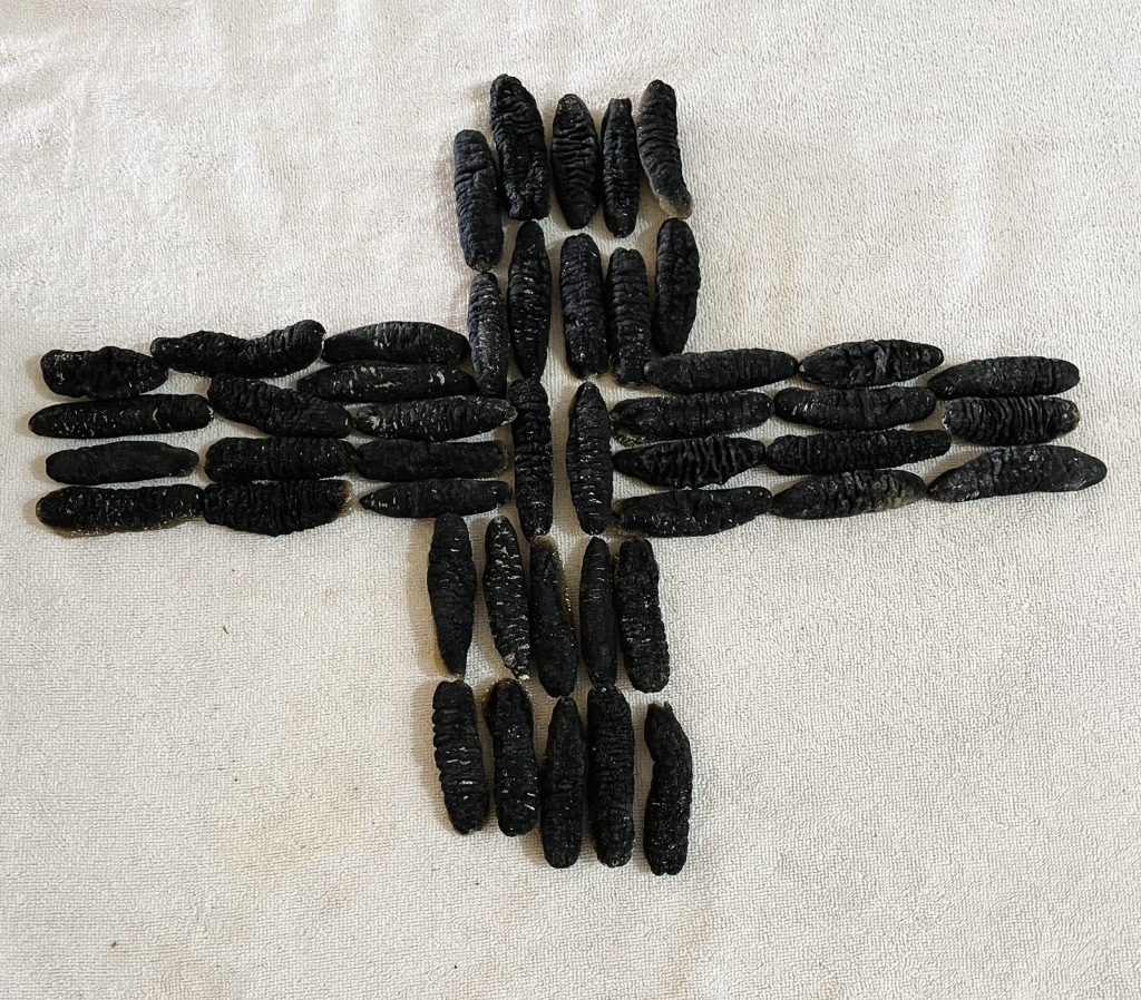 Premium Sea Cucumber Presentation