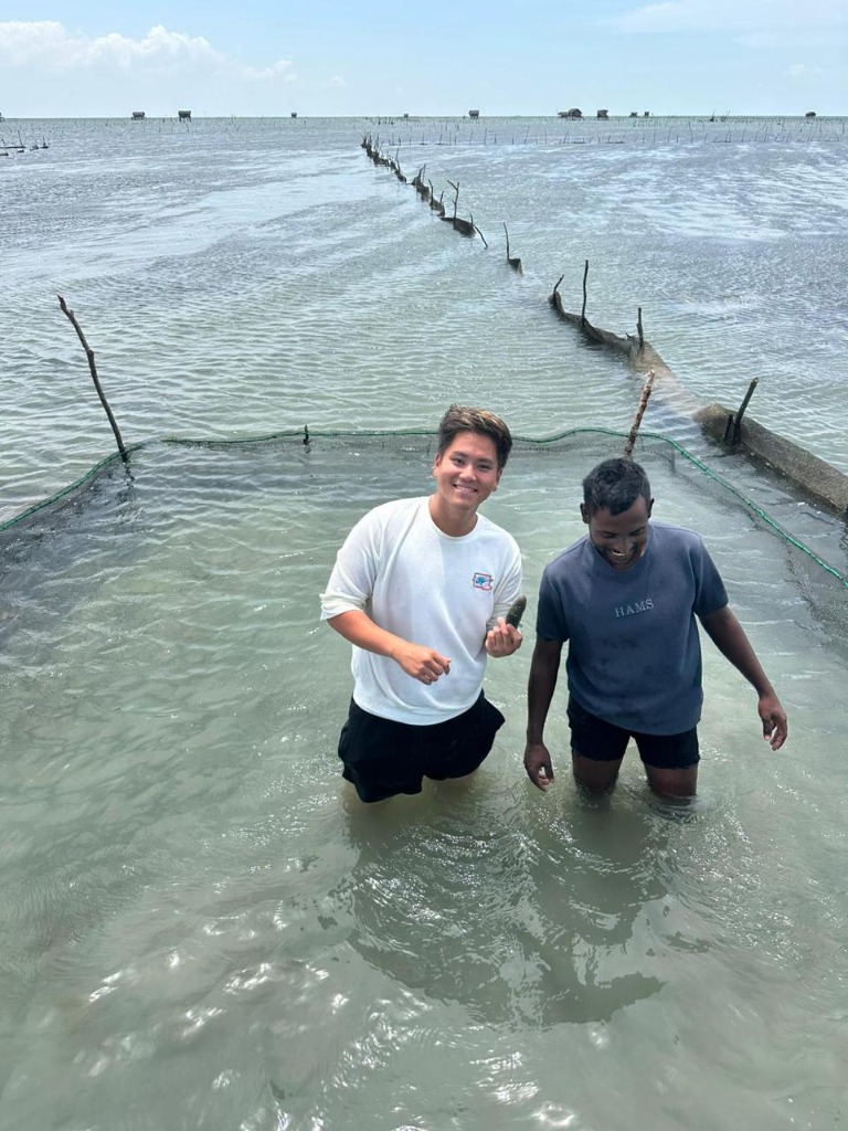 Premium Sea Cucumber Presentation