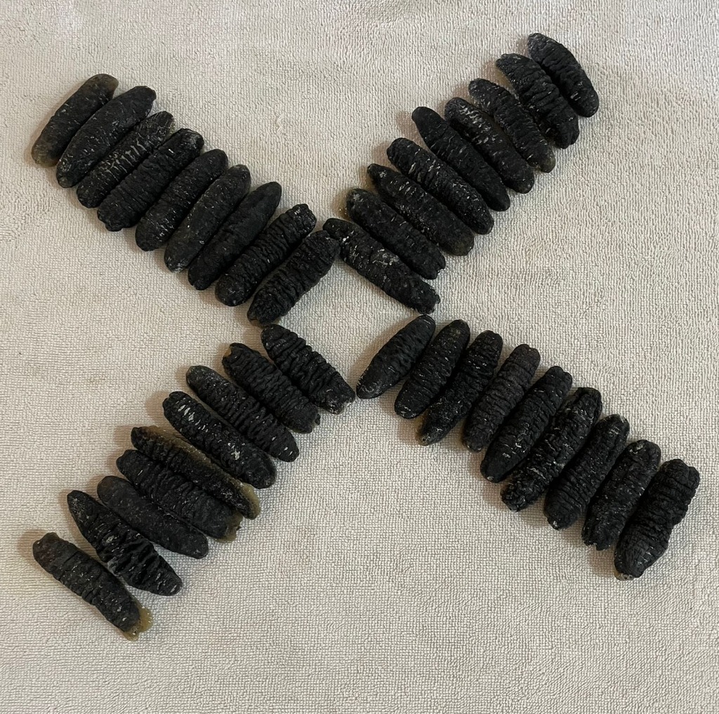 Premium Sea Cucumber Presentation