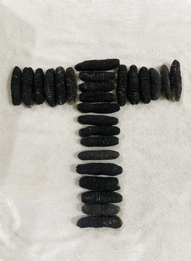 Premium Sea Cucumber Presentation