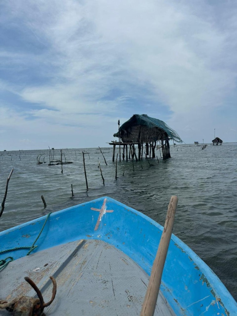 Traditional Harvesting Boat