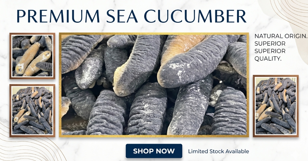 Premium Dried Sea Cucumber